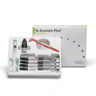 Image for Te-Econom Plus (Intro Pack)